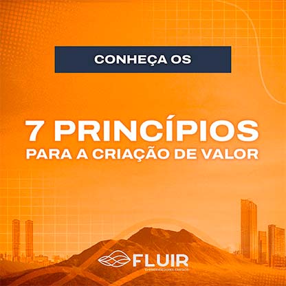 7 Princípios para a Criação de Valor